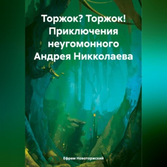 Обложка книги «Торжок? Торжок! Приключения неугомонного Андрея Никколаева»