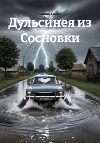 Обложка книги «Дульсинея из Сосновки»