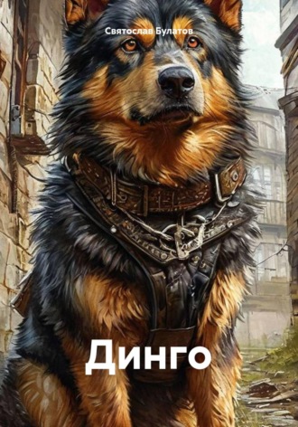 Обложка книги «Динго»