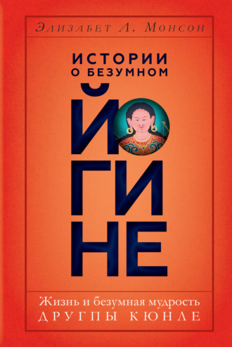 Обложка книги «Истории о безумном йогине. Жизнь и безумная мудрость Другпы Кюнле»