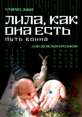 Обложка книги «Лила, как она есть. Путь воина»