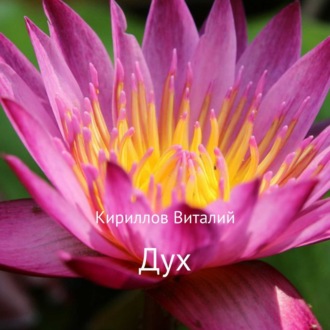 Обложка книги «Дух»