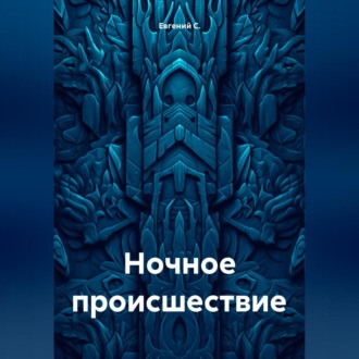 Обложка книги «Ночное происшествие»