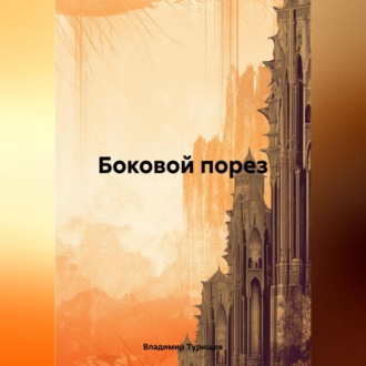 Обложка книги «Боковой порез»
