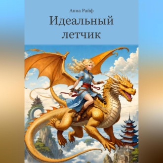 Обложка книги «Идеальный летчик»