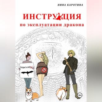 Обложка книги «Инструкция по эксплуатации дракона»