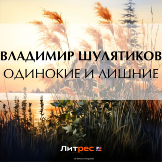 Обложка книги «Одинокие и лишние»