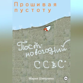 Обложка книги «Прошивая пустоту. Постновогодний ССВС»