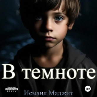 Обложка книги «В темноте»