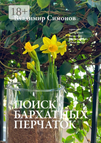 Обложка книги «Поиск бархатных перчаток. Серия книг поэтической философии миропонимания новой эпохи»