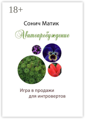 Сонич Матик. Авитопробуждение. Игра в продажи для интровертов