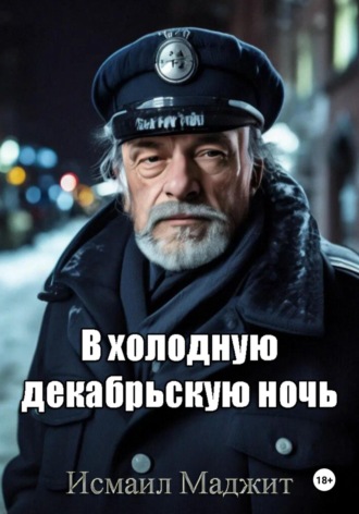 Обложка книги «В холодную декабрьскую ночь»