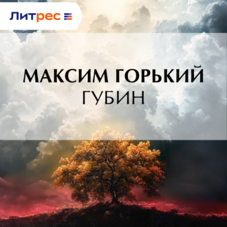 Обложка книги «Губин»