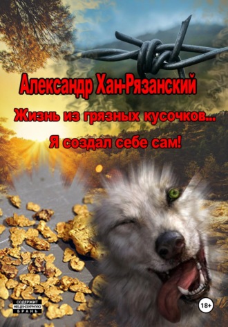 Обложка книги «Жизнь из грязных кусочков... Я создал себе сам!»