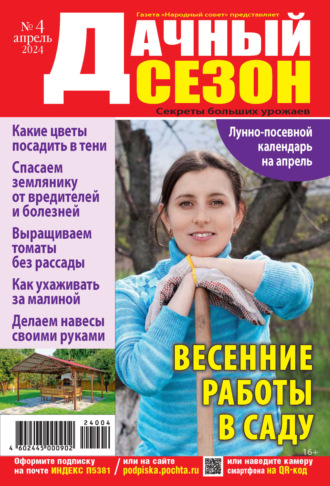 Обложка книги «Дачный сезон №04/2024»