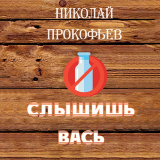 Обложка книги «Слышишь Вась»