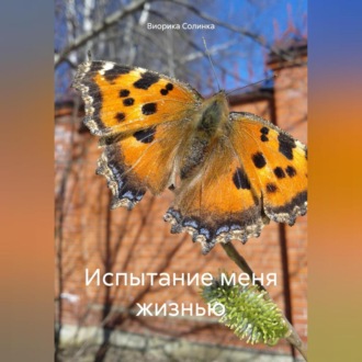 Обложка книги «Испытание меня жизнью»
