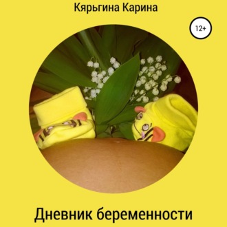 Обложка книги «Дневник беременности»
