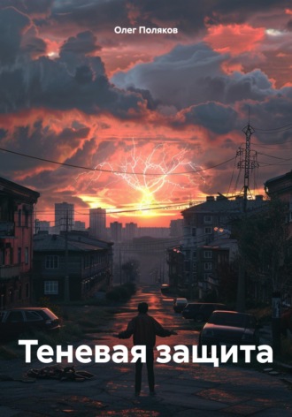 Обложка книги «Теневая защита»