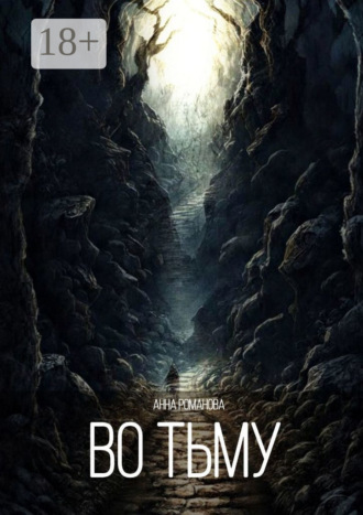 Обложка книги «Во тьму»
