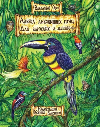 Обложка книги «Азбука диковинных птиц. Для взрослых и детей»