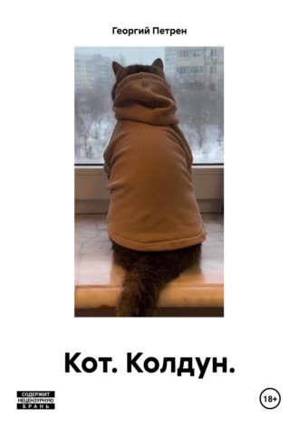 Обложка книги «Кот. Колдун.»