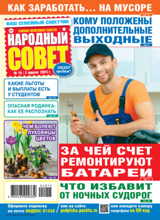 Обложка книги «Народный совет №15/2024»