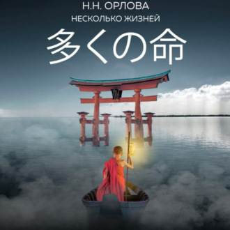 Обложка книги «Несколько жизней»