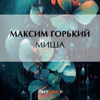 Обложка книги «Миша»