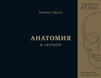 Обложка книги «Анатомия в черном»