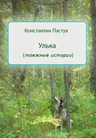 Обложка книги «Улька»