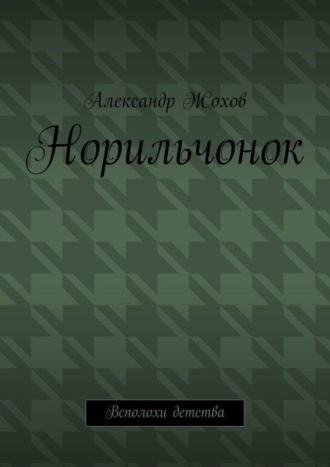 Александр Жохов. Норильчонок. Всполохи детства