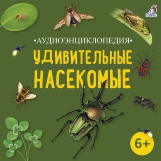 Обложка книги «Аудиоэнциклопедия. Удивительные насекомые»