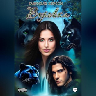 Обложка книги «Воровка»