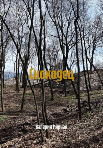 Обложка книги «Сноходец»
