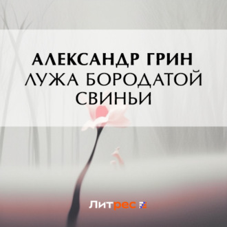 Обложка книги «Лужа Бородатой Свиньи»