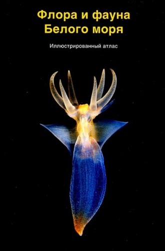Обложка книги «Флора и фауна Белого моря»