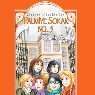 Обложка книги «GEZGIN DEDEKTIFLER – PALMIYE SOKAK NO. 5»