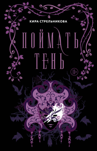 Обложка книги «Поймать Тень»