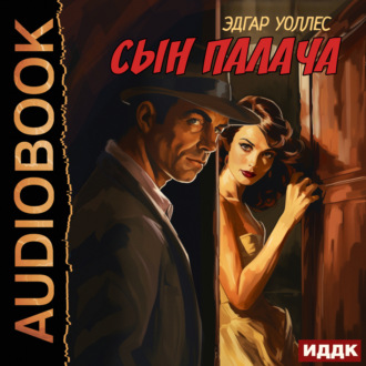 Обложка книги «Сын палача»