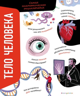 Обложка книги «Тело человека. Самая анатомическая энциклопедия»