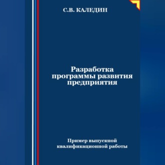 Обложка книги «Разработка программы развития предприятия. Пример выпускной квалификационной работы»