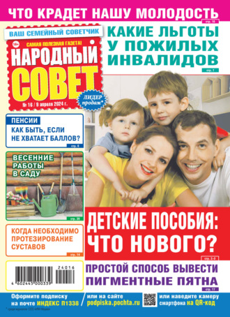 Обложка книги «Народный совет №16/2024»