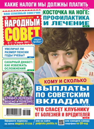 Обложка книги «Народный совет №17/2024»