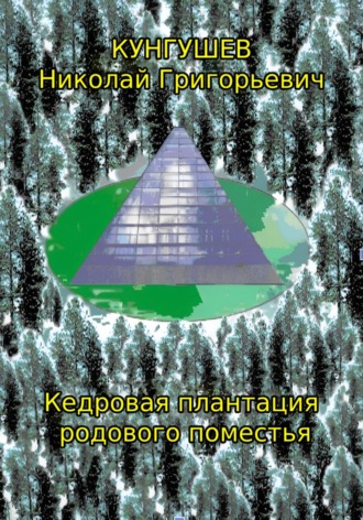 Николай Григорьевич Кунгушев. Кедровая плантация родового поместья