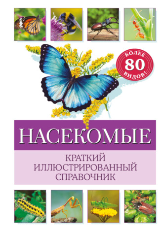 Обложка книги «Насекомые. Краткий иллюстрированный справочник»