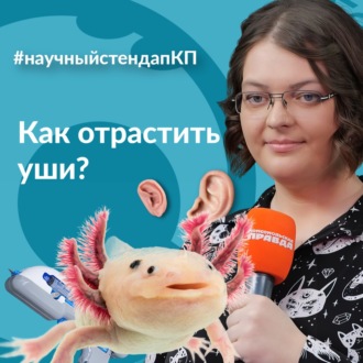 Обложка книги «Как отрастить уши?»