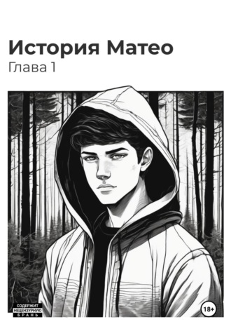 Обложка книги «История Матео. Глава 1»