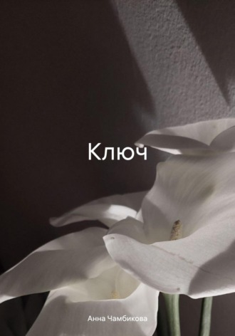 Обложка книги «Ключ»