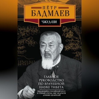 Обложка книги «Чжуд-ши. Главное руководство по врачебной науке Тибета»